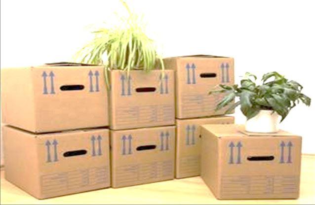Gute Organisation beim Umzug durch Bereitstellung der richtigen Kartons Gute Organisation beim Umzug durch Bereitstellung der richtigen Kartons